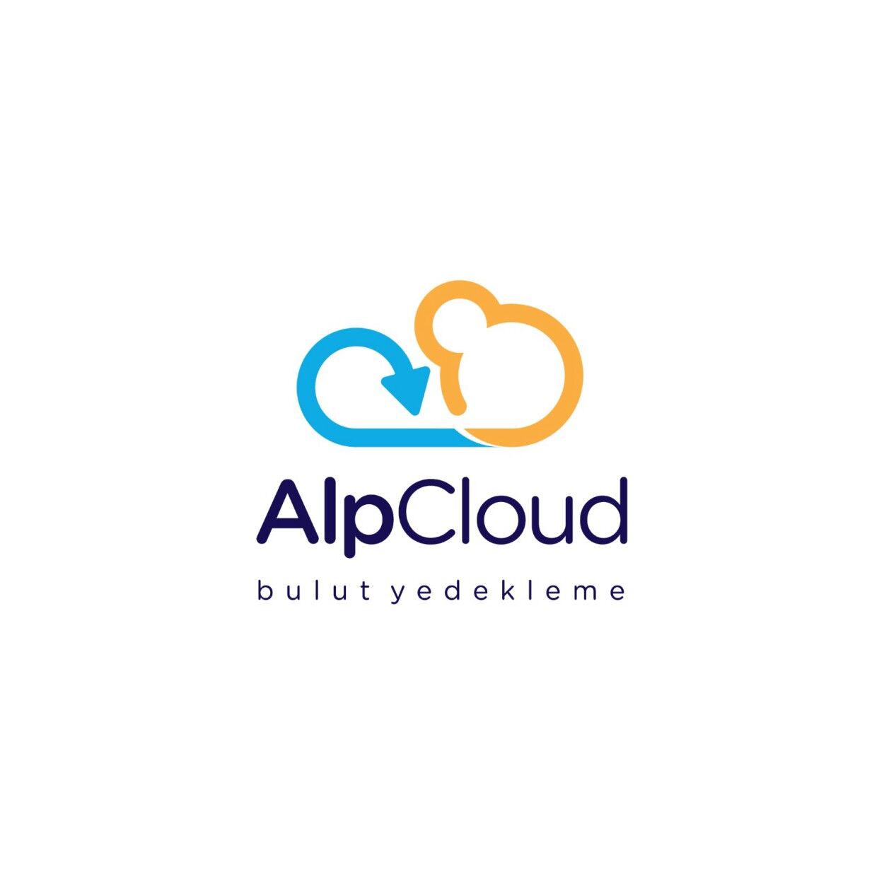 AlpCloud Server Dosya Yedekleme (100GB) 1 Yıl