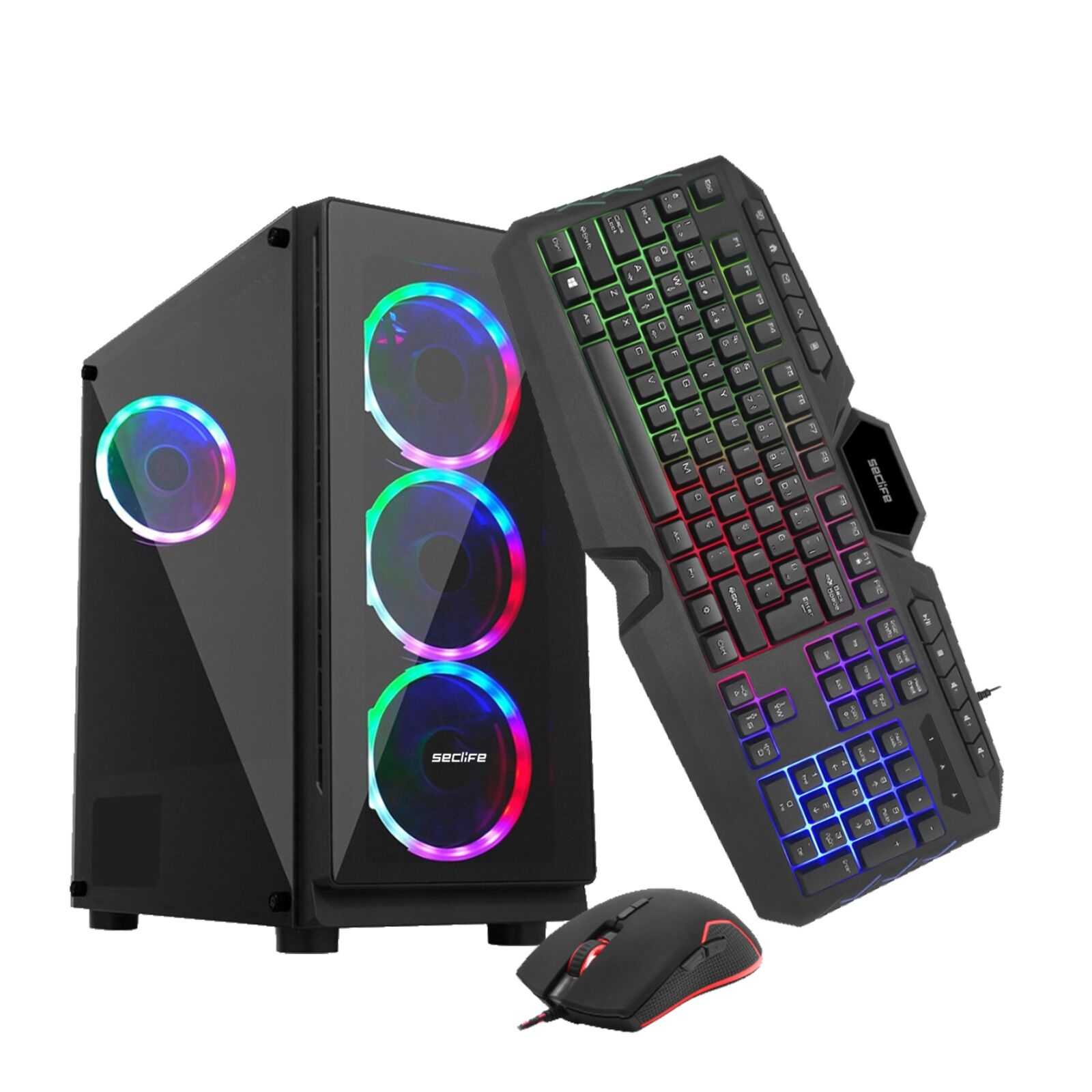 Seclife GM-A559 Ryzen 5500 16GB 500GB SSD 6GBVGA 1660S Dos Oyuncu Pc