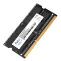8GB Netac Basic 1600MHz DDR3L [NTBSD3N16SP-08] NB Ram
