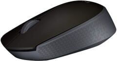 Logitech M171 (910-004424) Siyah Kablosuz Mouse