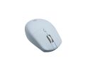 Frisby FM-288WM Kablosuz Mouse Mavi