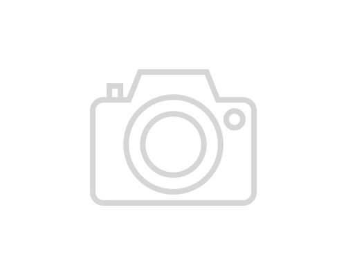 İNTEL Raptor Lake Core İ3-14100 3.50GHz 12MB 1700p (60W) Cpu Tray